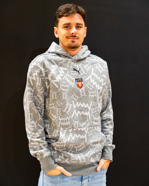 HOODIE "LION MSB" ADULTE 25/26 - GRIS