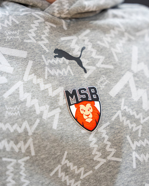 HOODIE "LION MSB" ADULTE 25/26 - GRIS