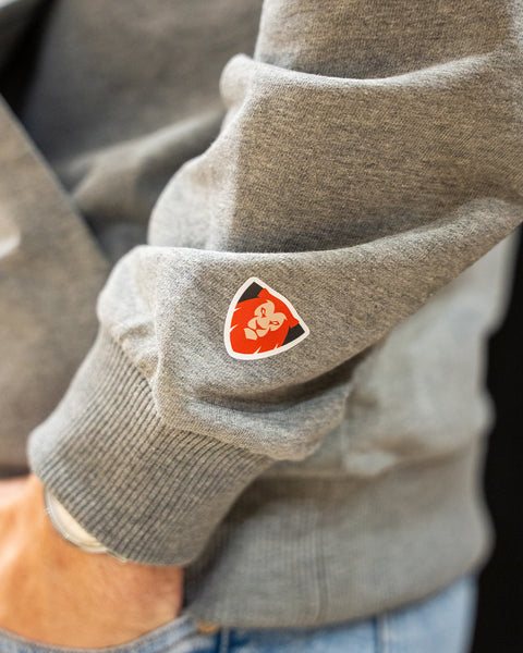 SWEAT A CAPUCHE MSB ADULTE 25/26 - GRIS