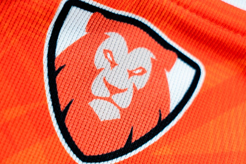 MAILLOT DOMICILE ADULTE 25/26