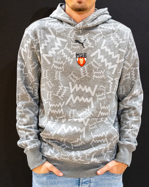 HOODIE "LION MSB" ADULTE 25/26 - GRIS